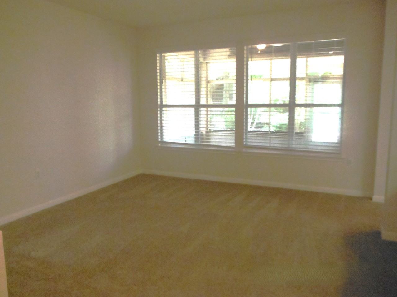 103 Anemone Cir - Photo 3 of 18