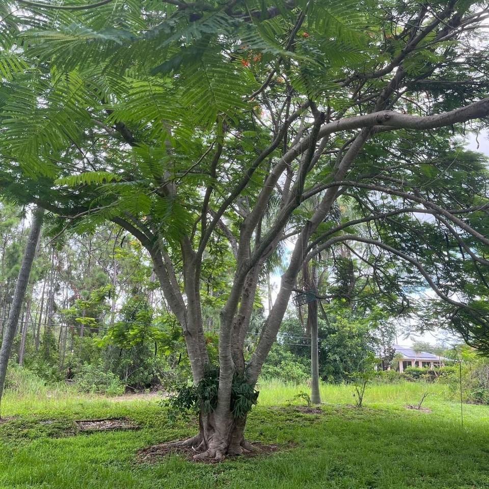 10301 St Patrick Ln - Photo 7 of 18