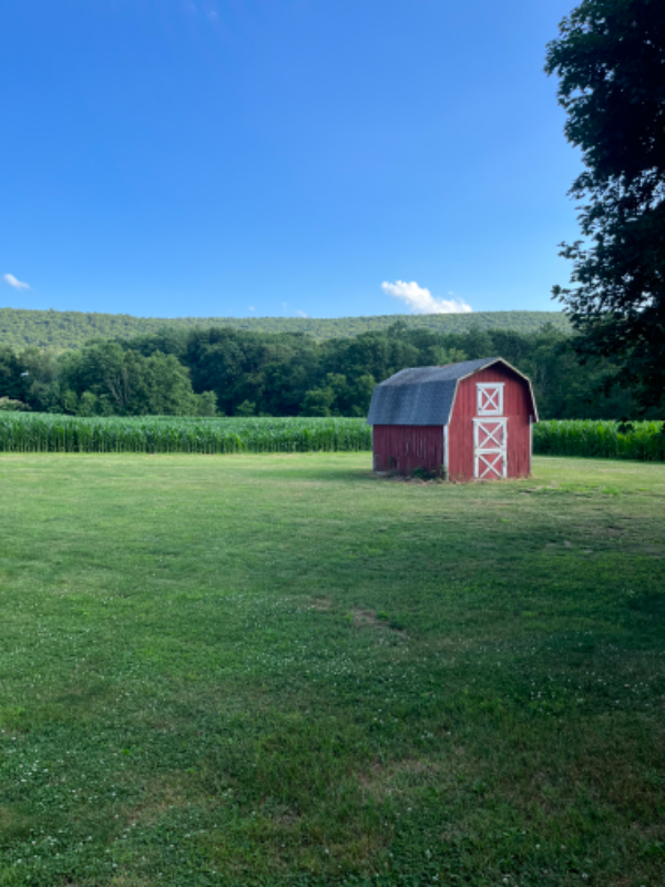 788 W County Rd - Photo 3 of 30