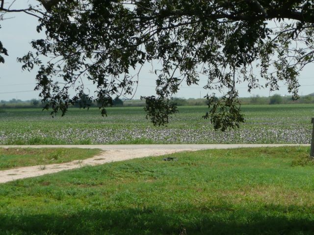 2396 Farmers Rd - Photo 3 of 3