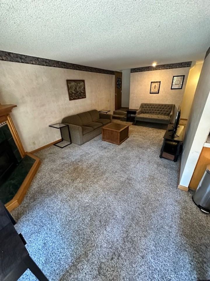 1439 Ski Run Blvd #H1 - Photo 3 of 23