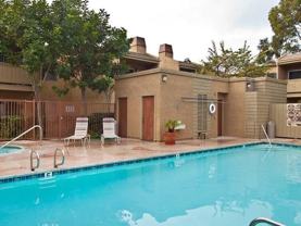 117 Rosebay Dr - Photo 1 of 1