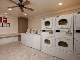 117 Rosebay Dr - Photo 1 of 1