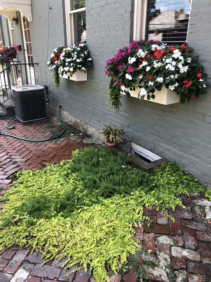 637 S 3rd St #NA - Photo 6 of 33