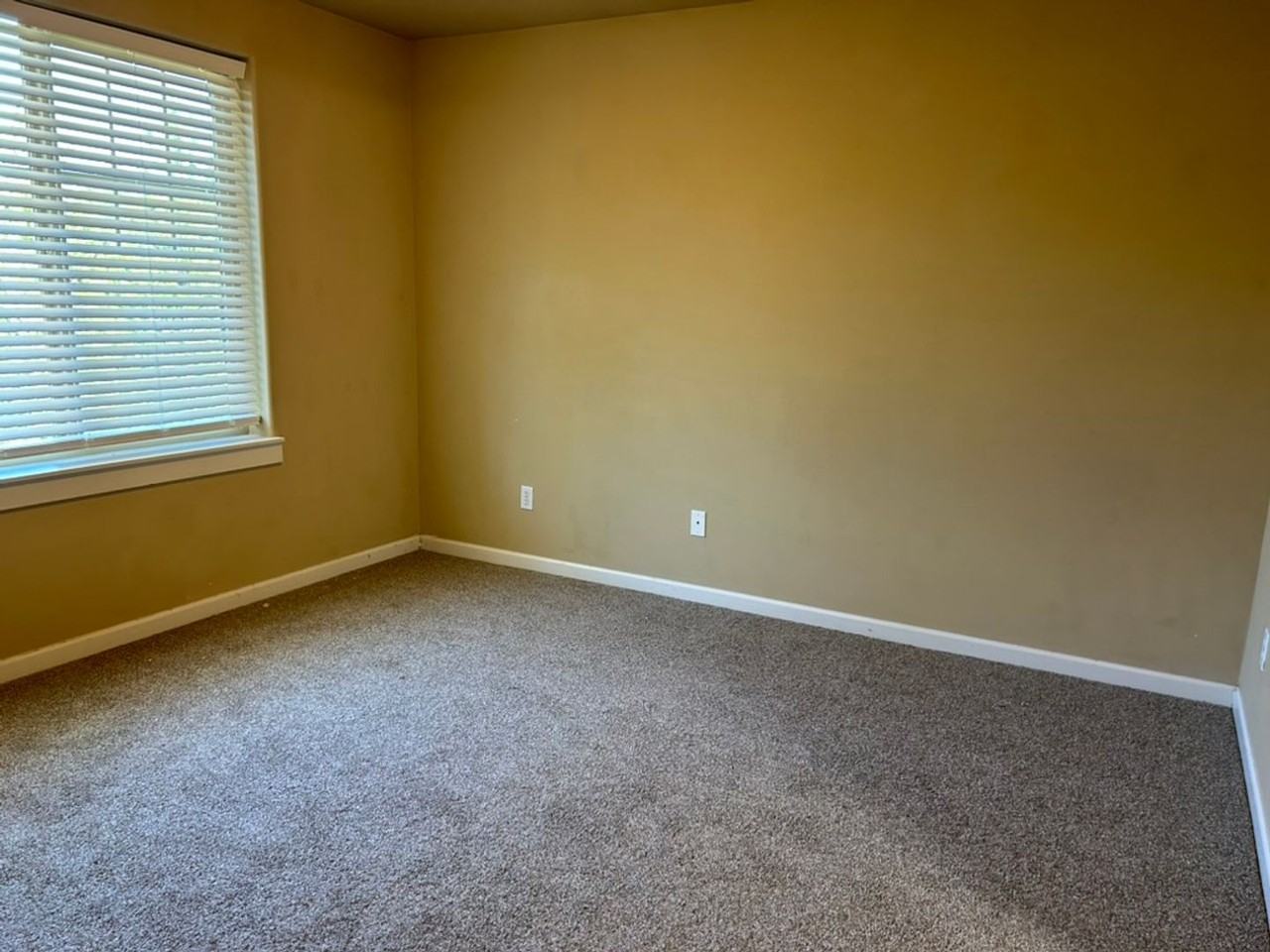 16547 Daisy Pl - Photo 6 of 23