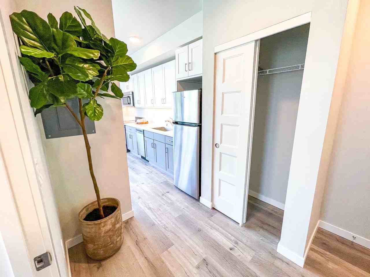 University Flats Apartments - Photo 7 of 38