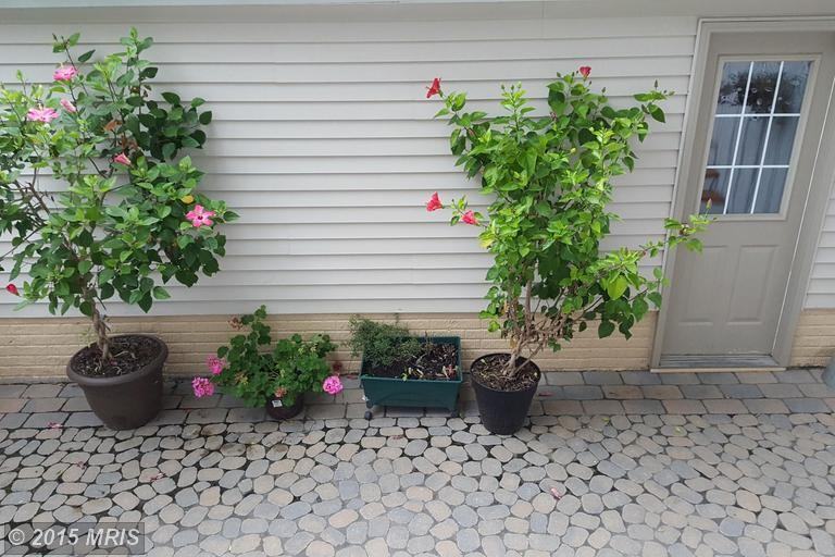 20401 Tholen St - Photo 2 of 18