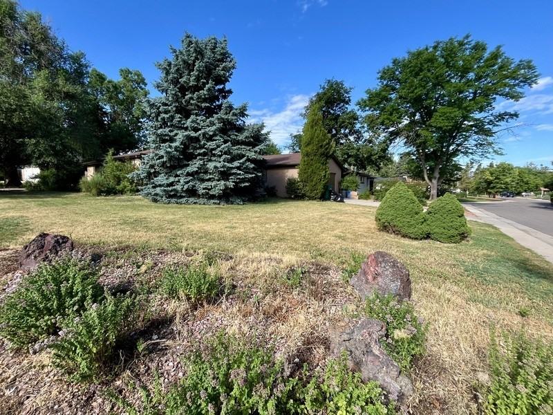 3375 Fenton St - Photo 6 of 43