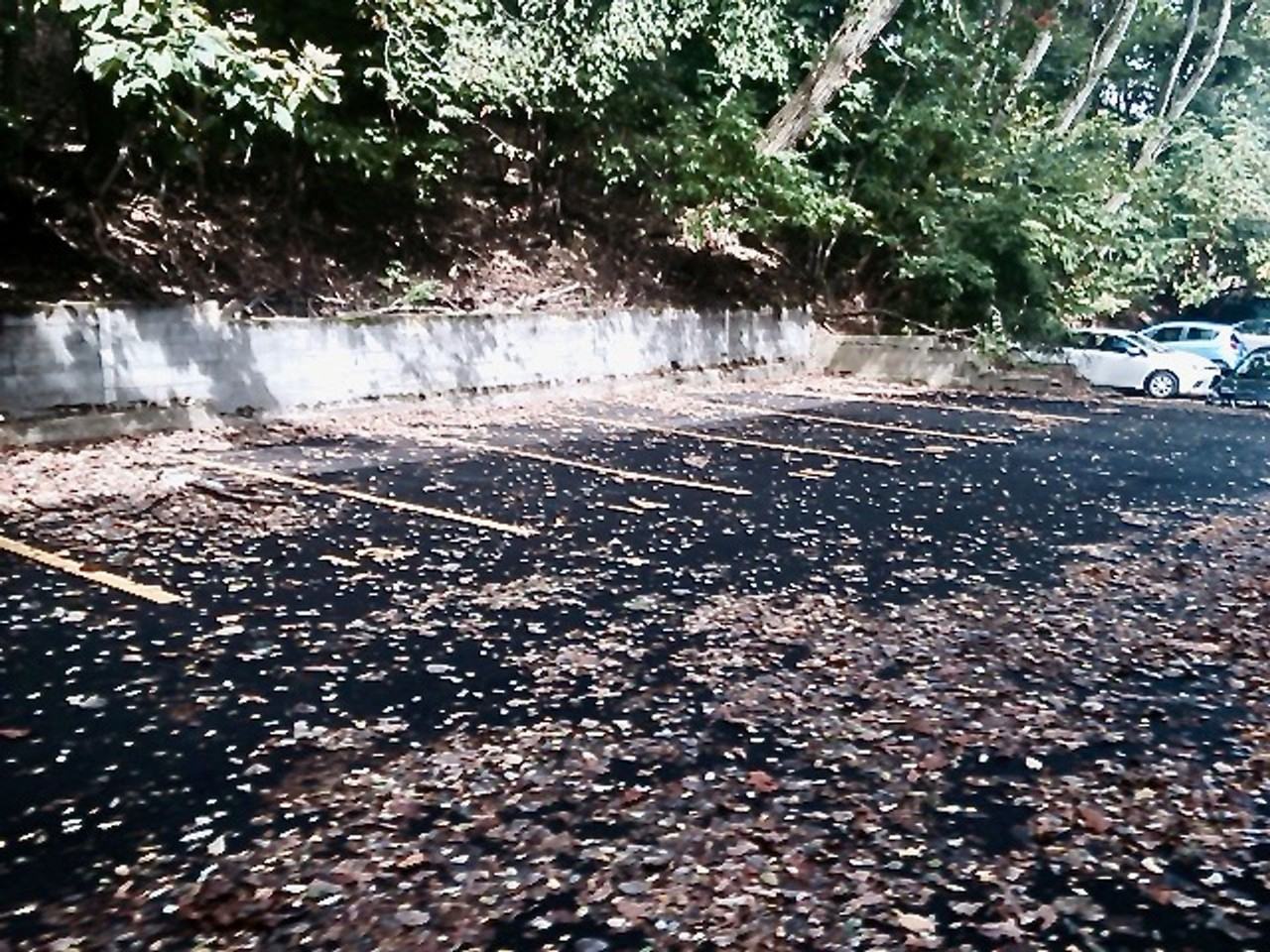 *** Pet Friendly Apartments in Mt. Lebanon * Near Castle Shannon T Stop * Affordable and Spacious Apartments *** - Photo 4 of 30