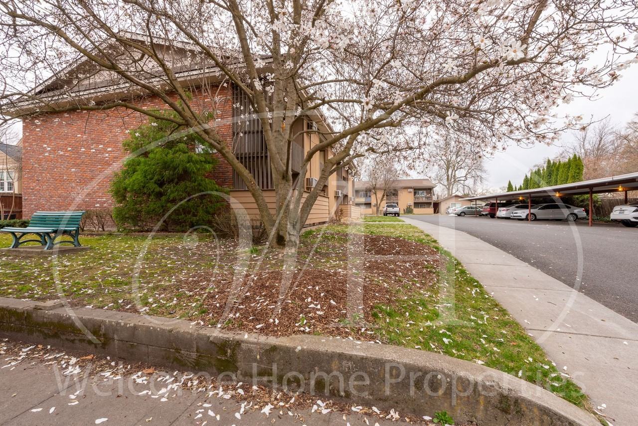 Redwood Apartments - Photo 2 of 3