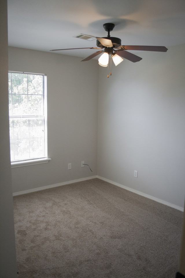 Rainsong 22-28 - Photo 7 of 10