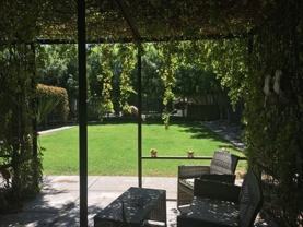 Rothko - Photo 1 of 1