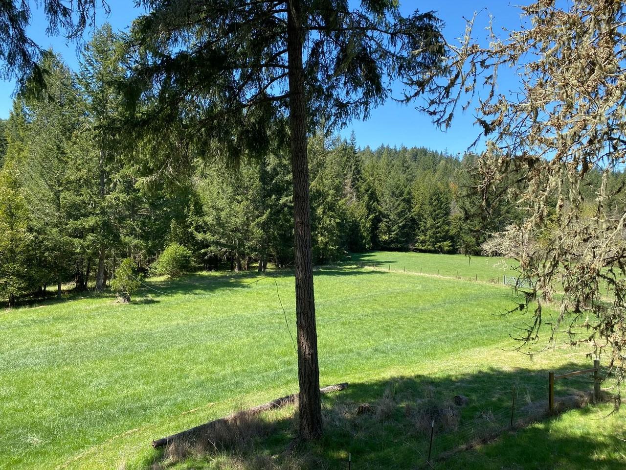 765 Fall Creek Rd - Photo 2 of 18