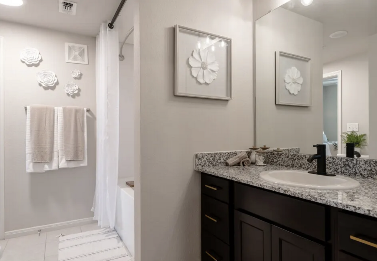 Preserve at Plum Creek - Photo 4 of 18