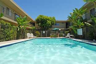 Palm Estates Apartments - Photo 1 of 1