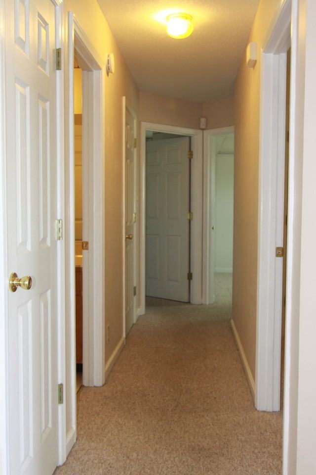 2424 Sphinx Ct - Photo 6 of 21