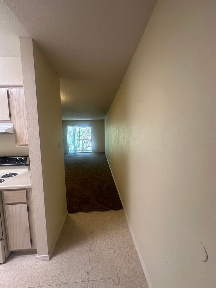 Echols 1500 - Sedona Apartments - Photo 4 of 37