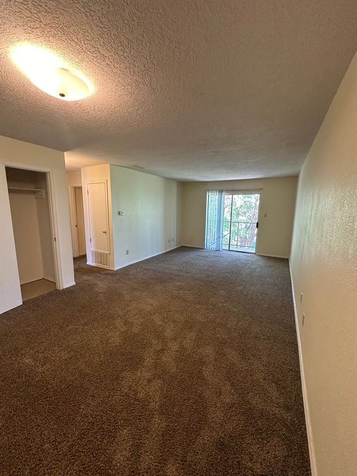 Echols 1500 - Sedona Apartments - Photo 6 of 37