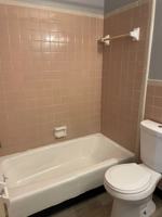 featured image of 4115 Free Pike