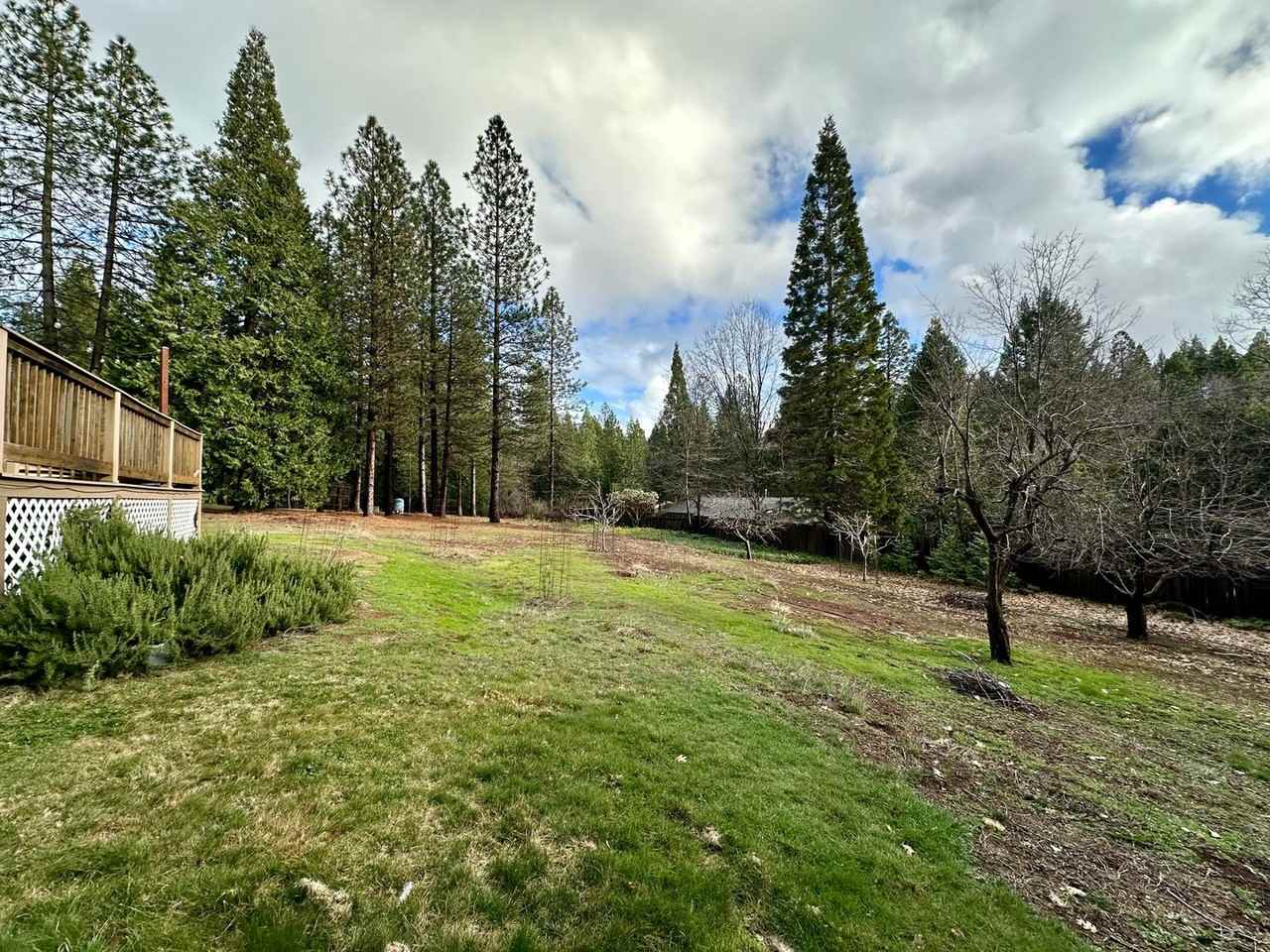 12602 Madrone Forest Dr - Photo 2 of 26