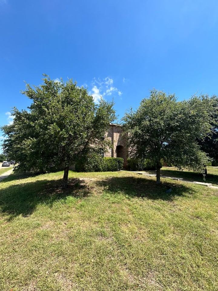 1253 Tall Grass Dr - Photo 3 of 26