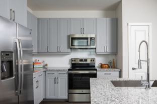 1148 Silber Road #1234 - Photo 1 of 1