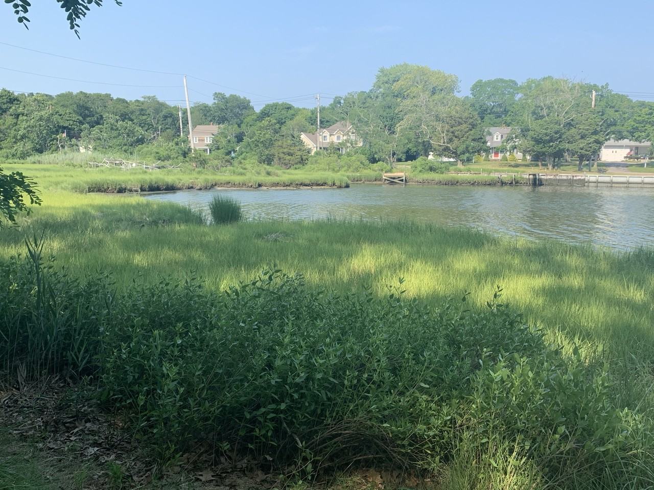 2285B Little Neck Rd - Photo 2 of 18