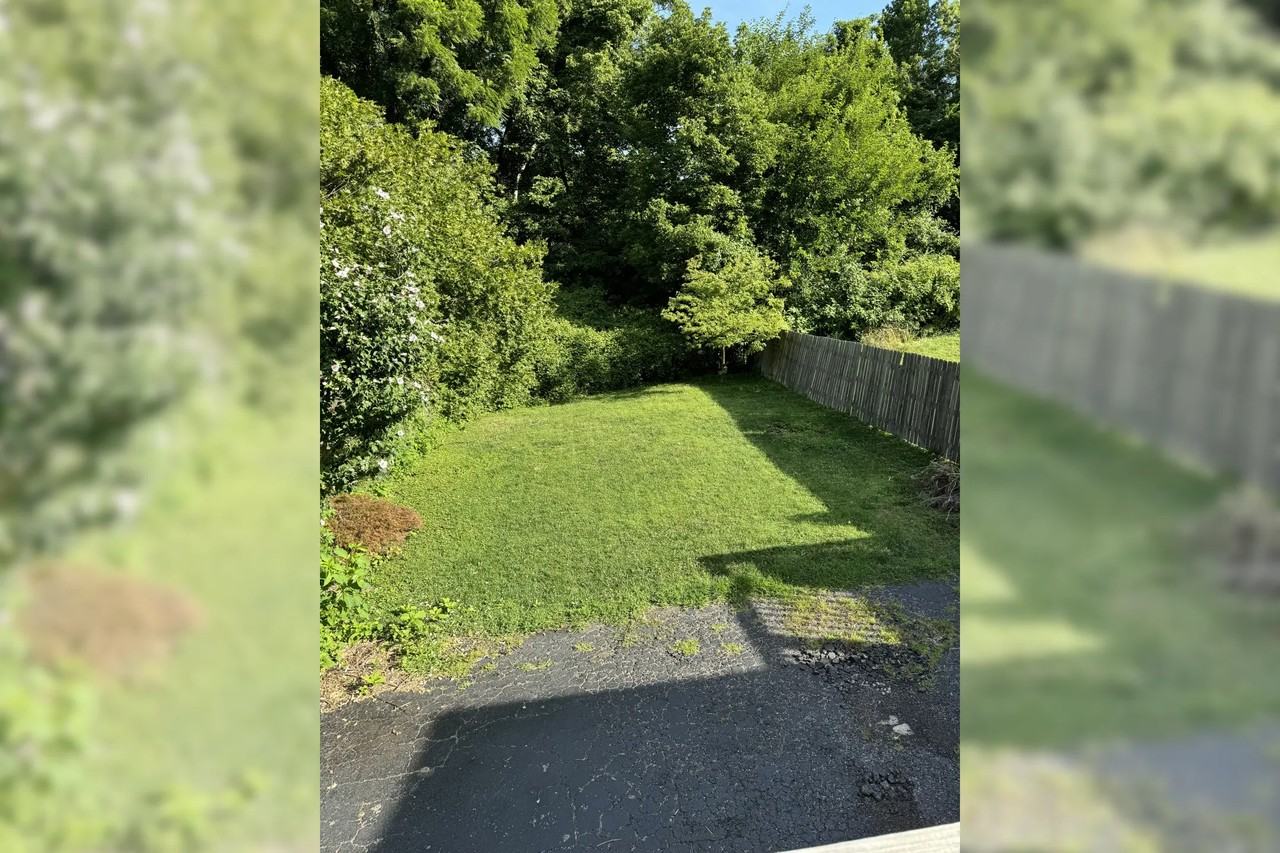 1335 Lexington Rd - Photo 3 of 9