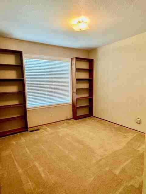558 Fireside Ct - Photo 3 of 23
