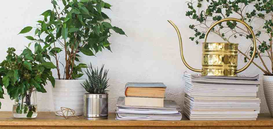 Dixon at Stonegate - Photo 6 of 23