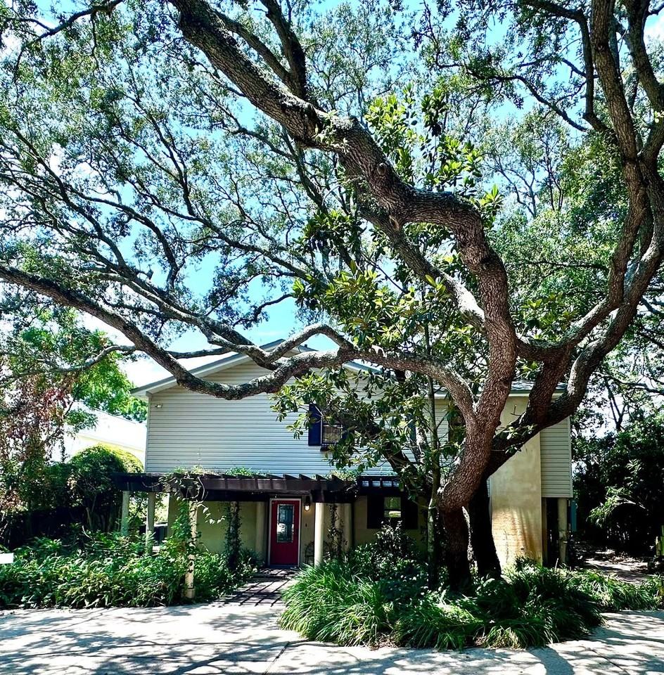 617 Calhoun Avenue - Photo 4 of 41