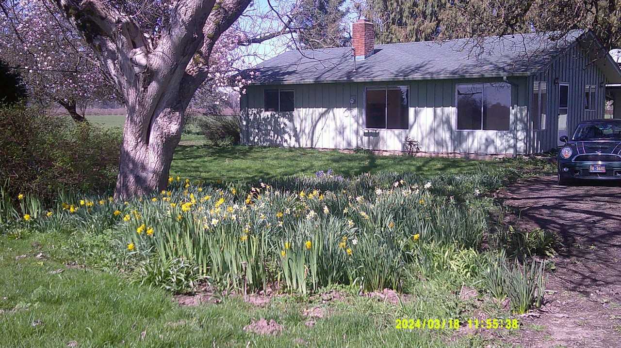 28807 Hurlburt Rd - Photo 2 of 16