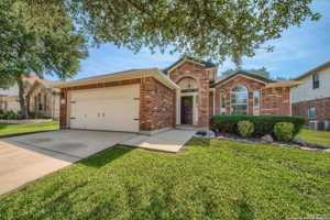 featured image of 25614 Texas Ash