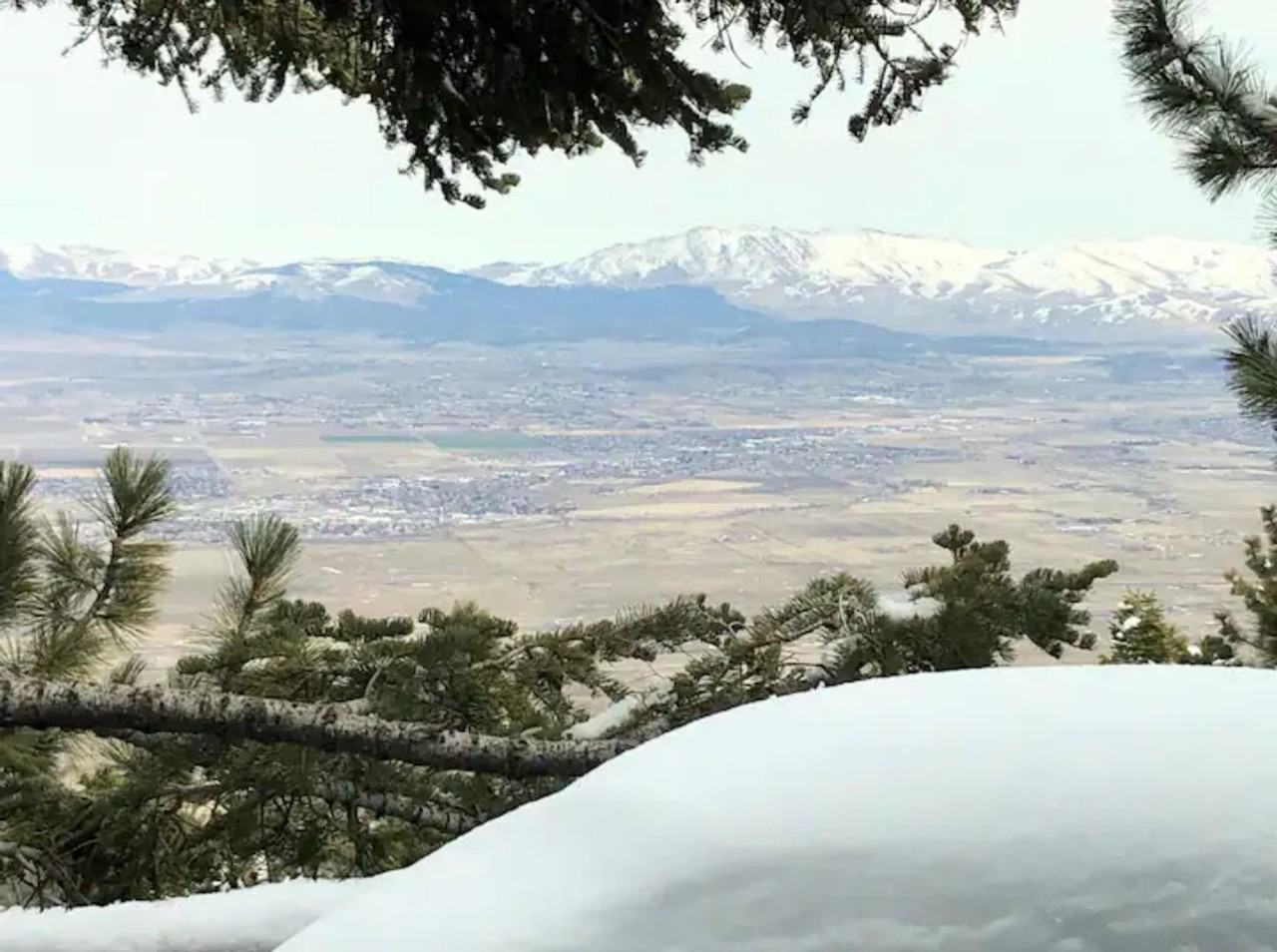 273D Orion Ln - Photo 4 of 13