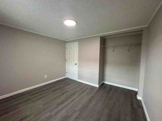 101 Red Deer Dr - Photo 5 of 8