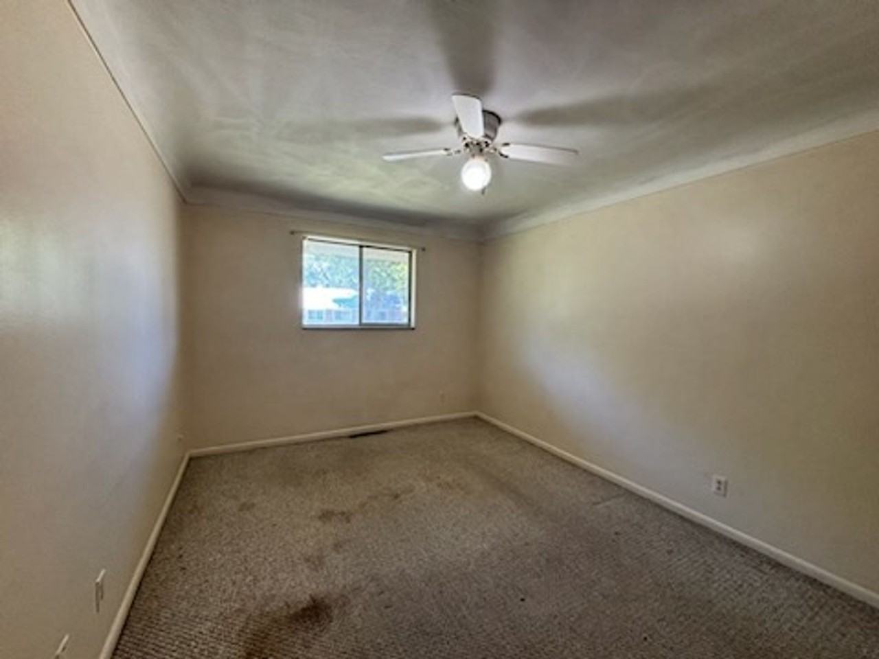 Bowles Court - Photo 2 of 12