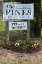 219 Leon Street #37 - Photo 1 of 1