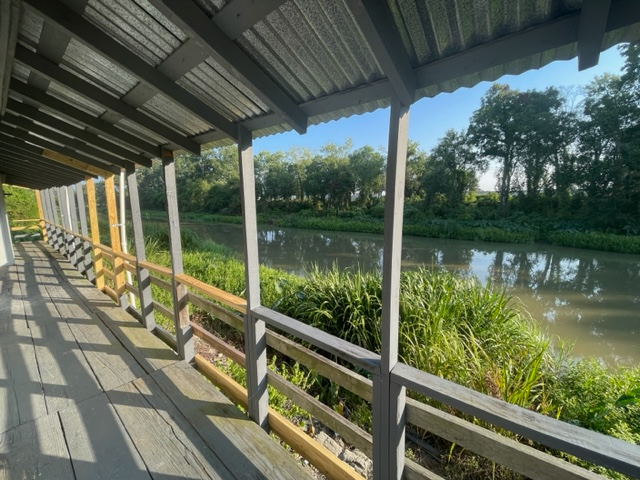 1828 Saint Mary St - Photo 3 of 13