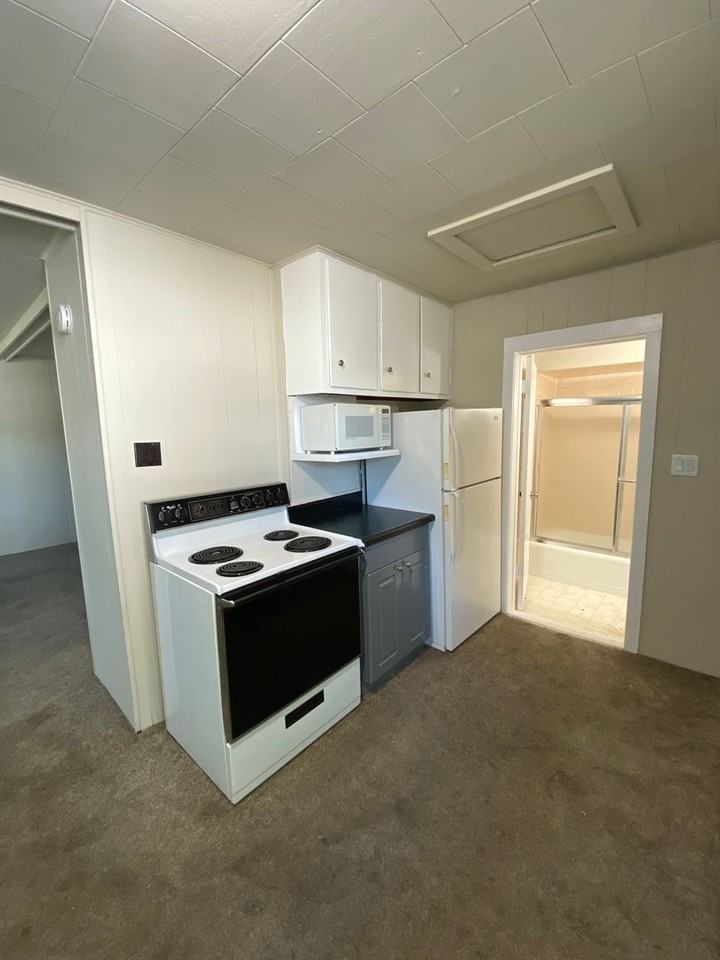 1421 E Madison Ave - Photo 2 of 15