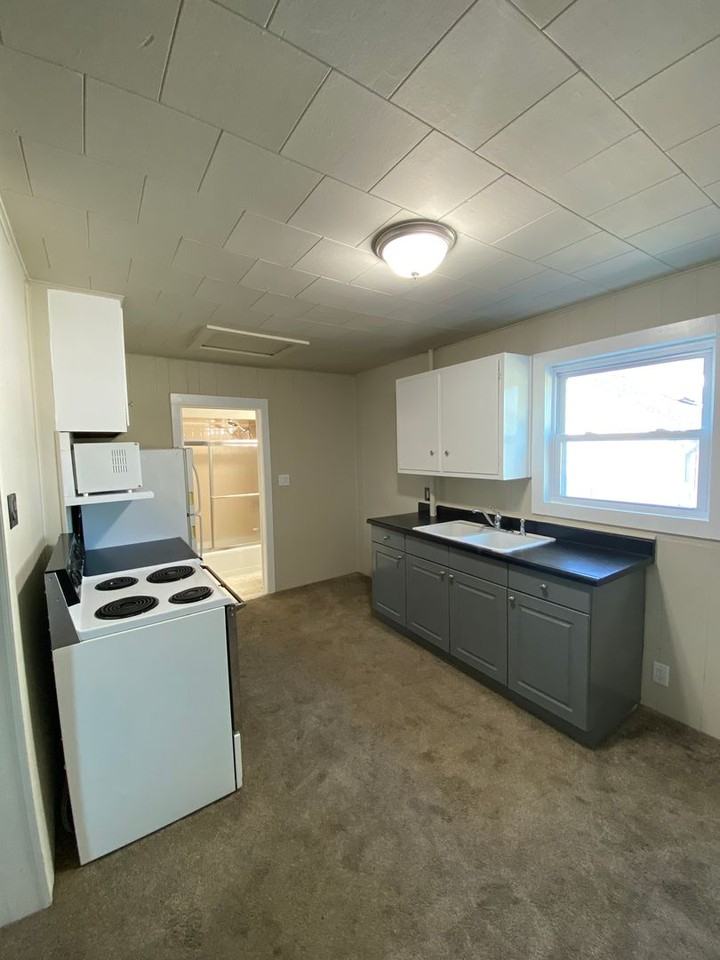 1421 E Madison Ave - Photo 3 of 15