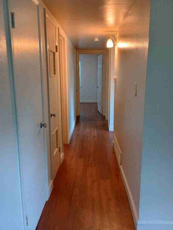 Treeview Apartments - Photo 6 of 24