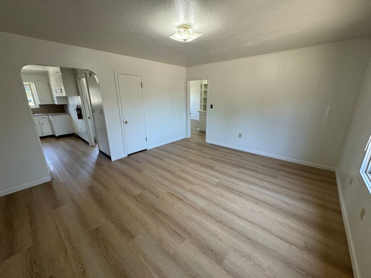 ASH779 - Photo 3 of 20