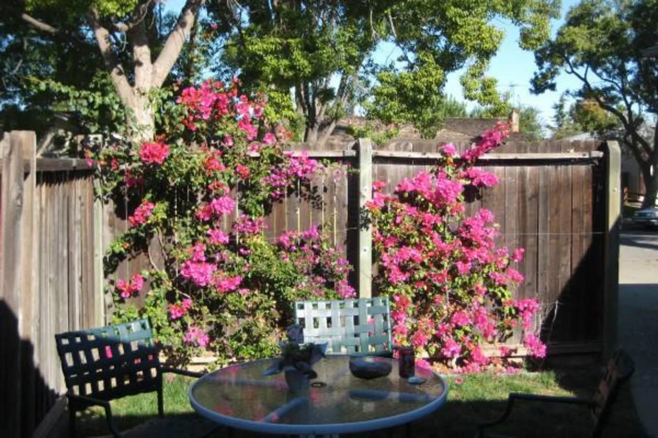 4026 Bismarck Dr - Photo 2 of 19