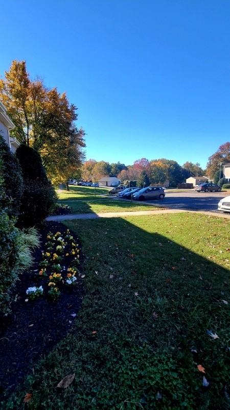 1229 Nelson Street #A - Photo 4 of 10