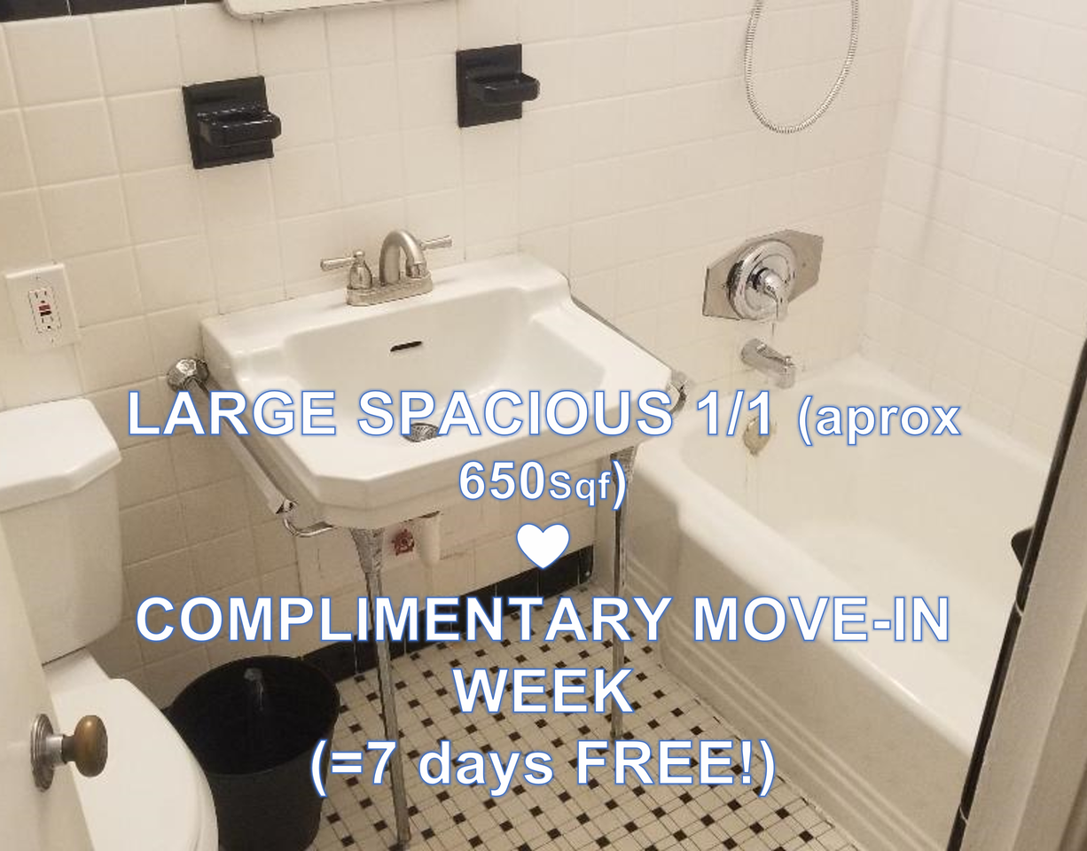 1830 Jackson Street #4 - Photo 5 of 100