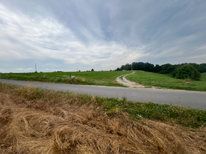 2906 Taylor Ford Rd - Photo 3 of 14