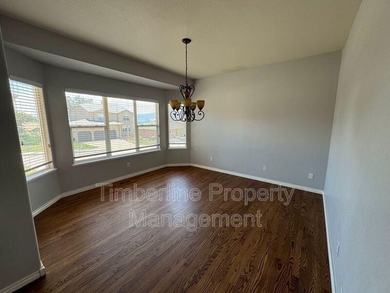 1360 Almagre Peak Dr - Photo 3 of 17