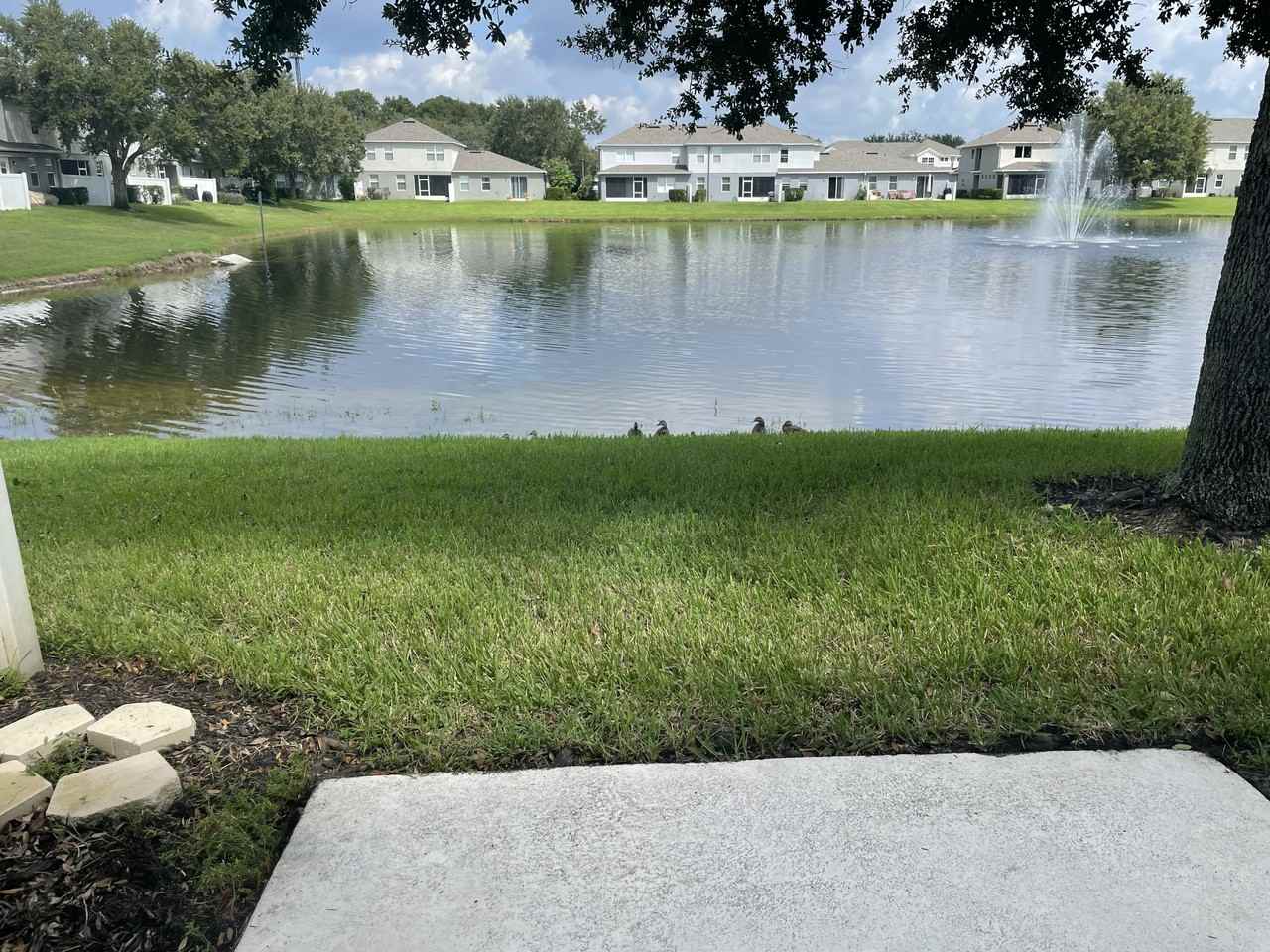 1235 Travertine Ter #1235 - Photo 3 of 19