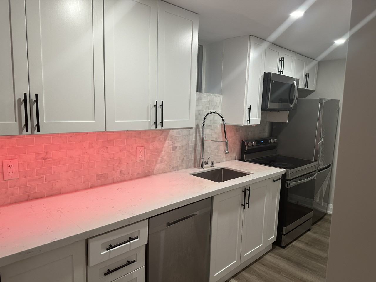 Dalmatian Cres - Photo 2 of 7