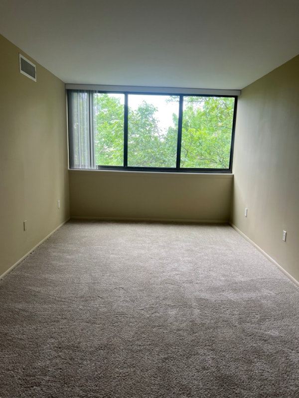 12 South Van Dorn Street #501 - Photo 4 of 16